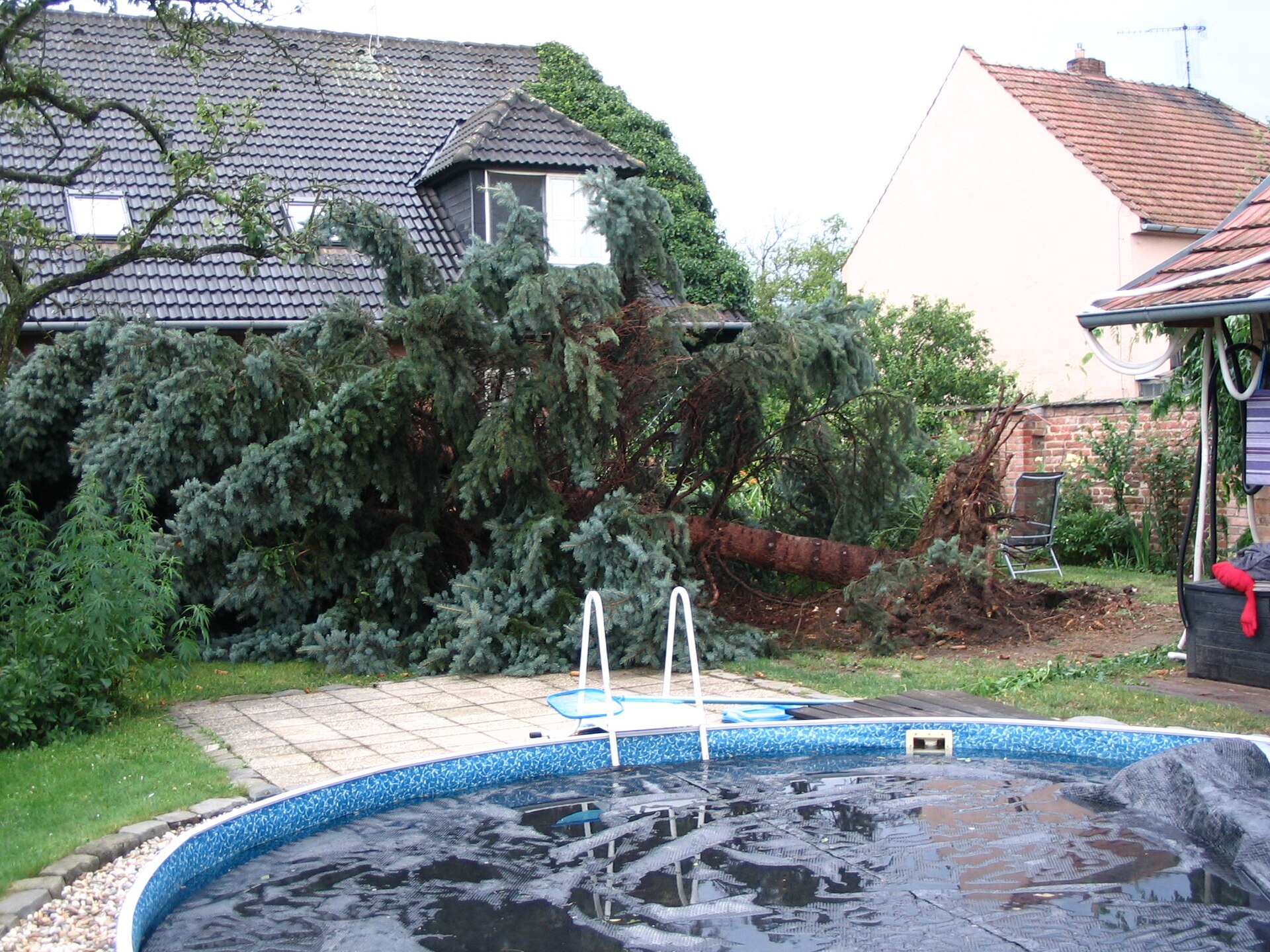 Árbol caído sobre el suelo tras un temporal de viento